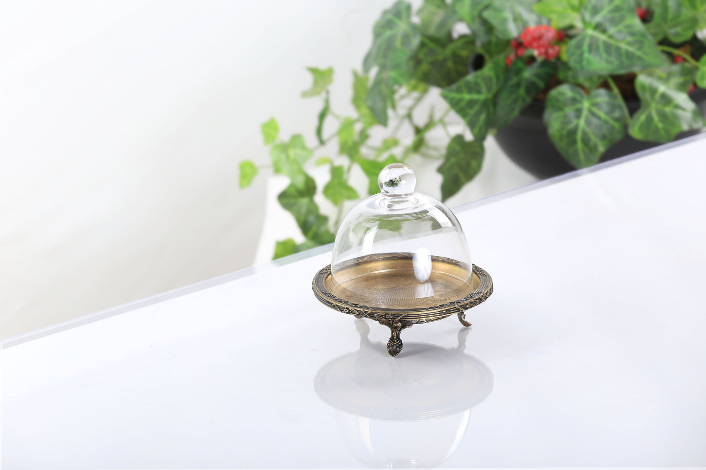 Silver Round Cake Stand with Glass Dome | Footed Dessert Serving Tray